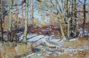 Untitled. Semenov Yuriy