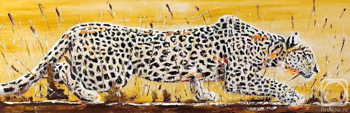 ������� ������ �� ������. �������� ������. �������