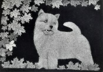 ������-������. �������� �����