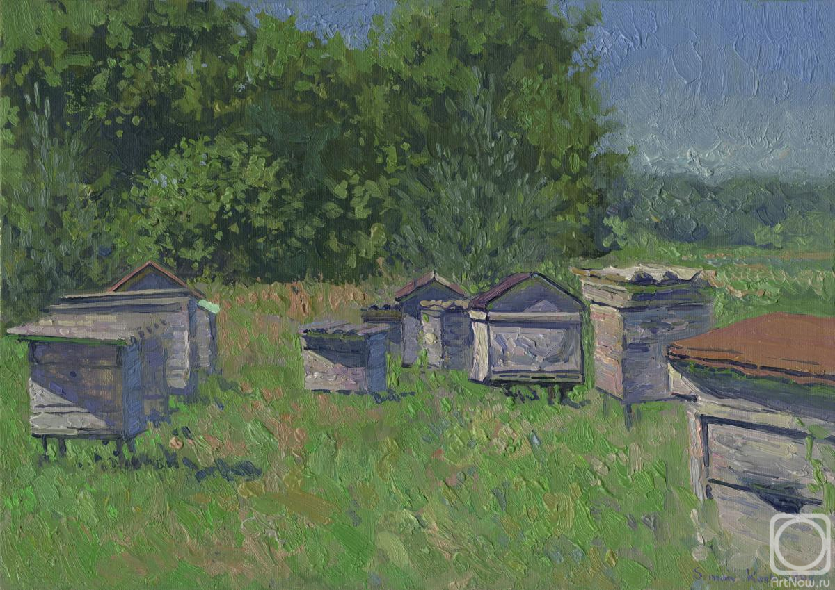 Kozhin Simon. Apiary. Chamzinka