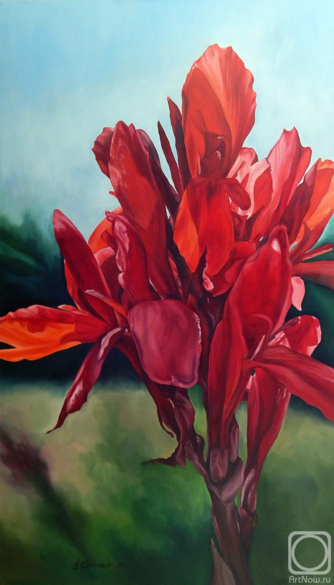 ������� ������ �� ������. �������� ��������. �����