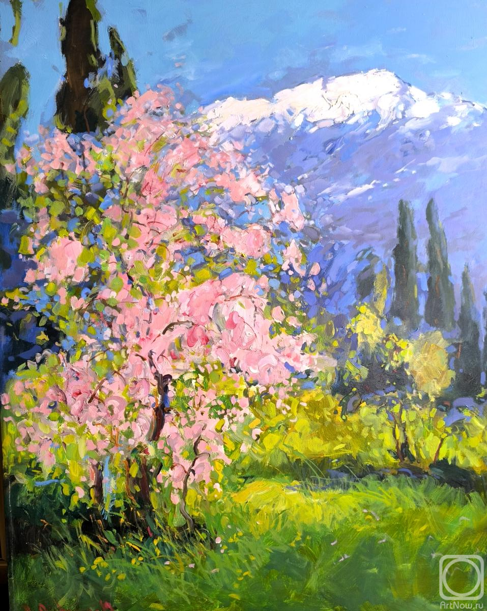 ������� ������ �� ������. ������� ���������. �����