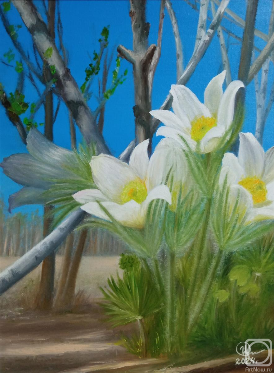 ������� ������ �� ������. ������� �����. �������� ���� �����