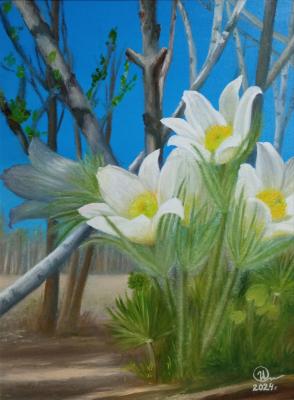 The blooming soul of spring. Ivanova Olga