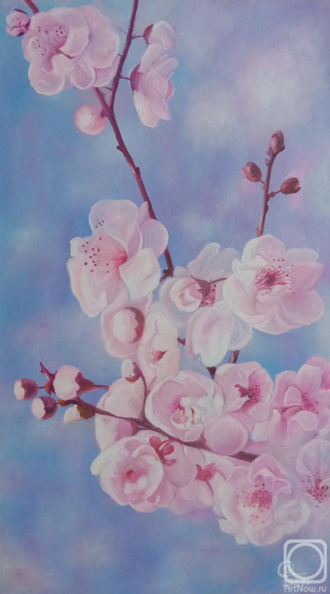 ������� ������ �� ������. ������� �����. �������� �����