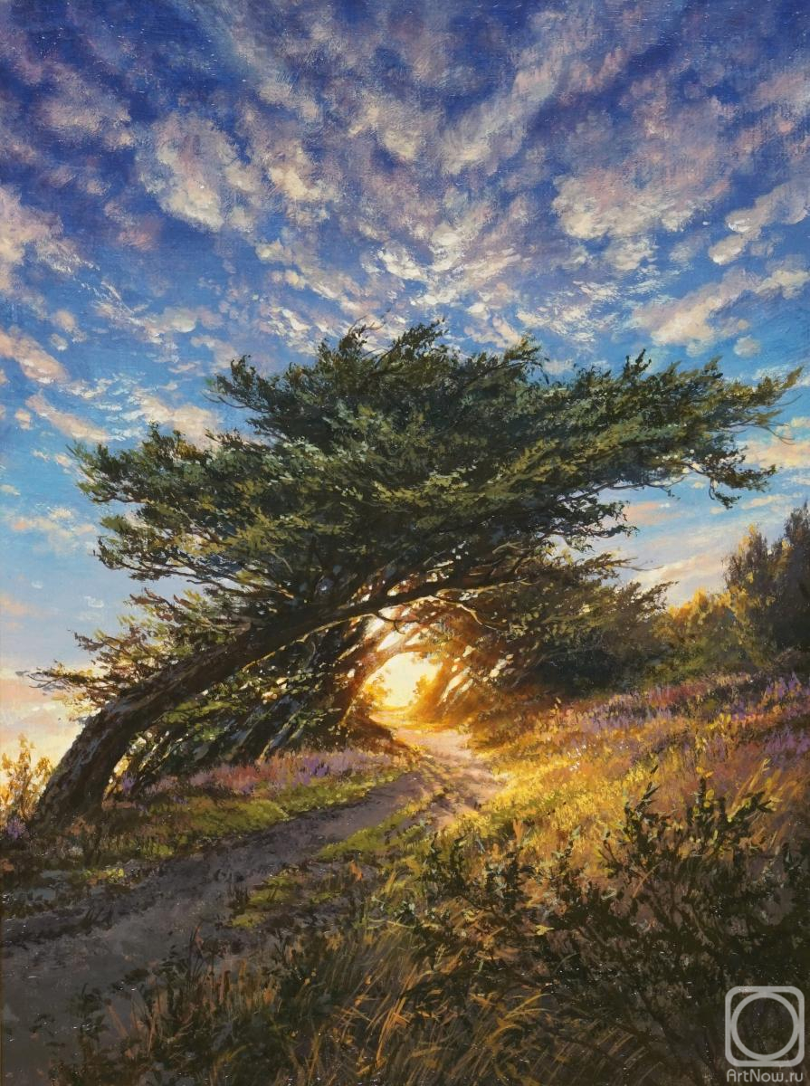 �������. ������� ������. ����������� �������� ���