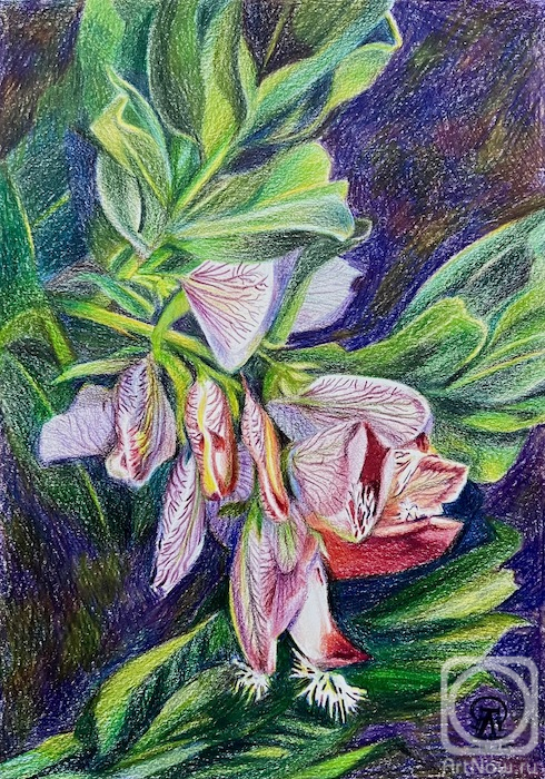 �������. �������� ������. ��������