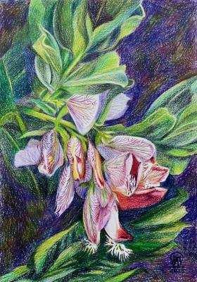 ������� ���������