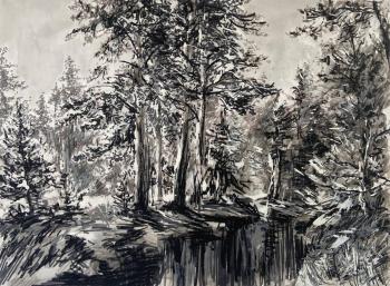 ������ ������. ������� ������