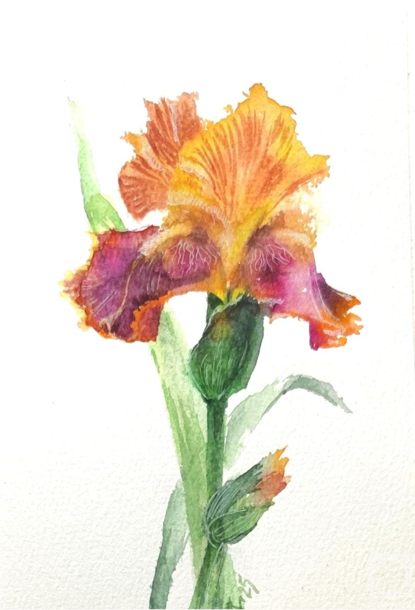 �������. ������ �������. ����. �������� � ������. ��������