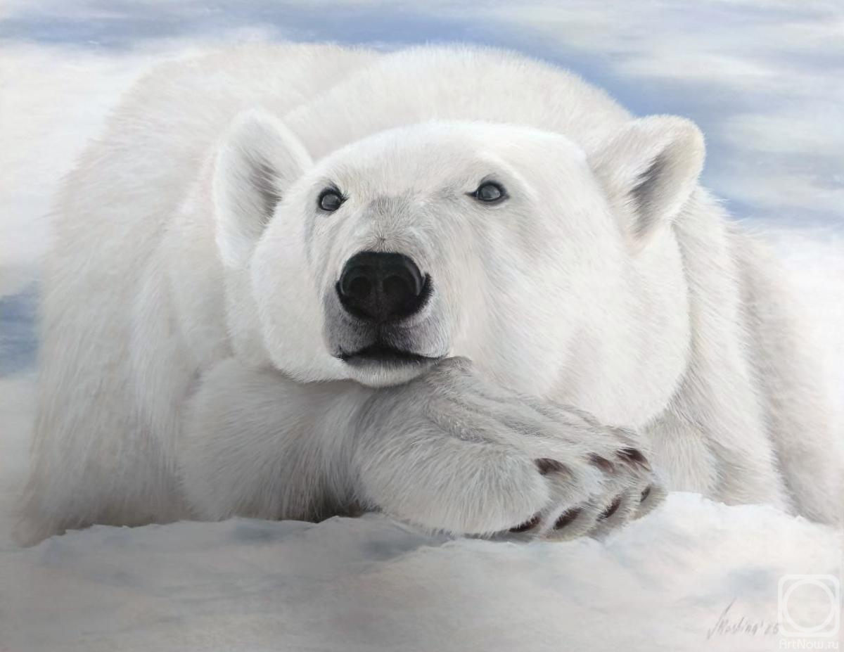 �������. ������ �����. ����� �������