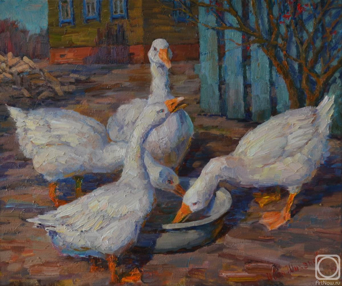 ������� ������ �� ������. ������� ����. ���� ����������