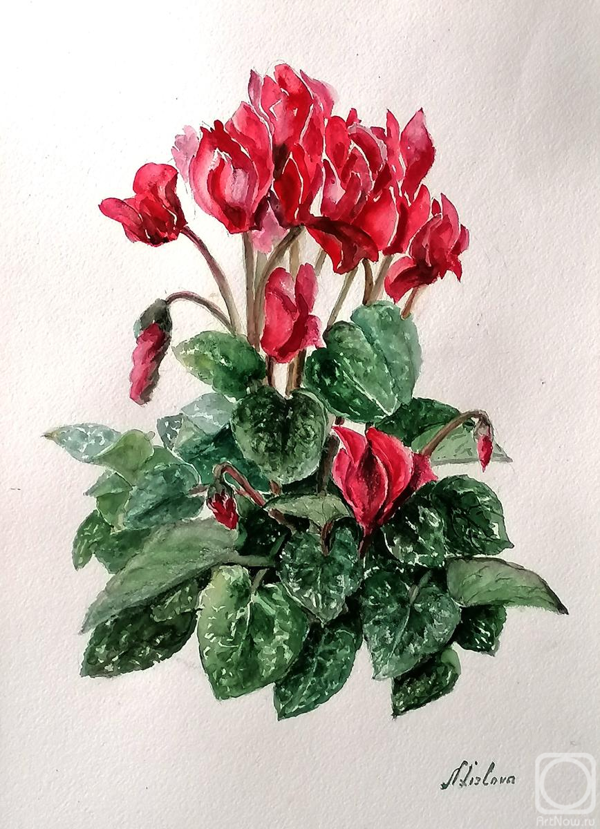 �������. ������� �������. ��������