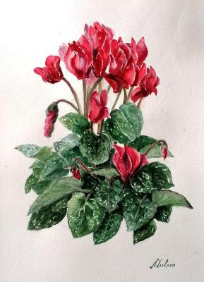 ������� ����������