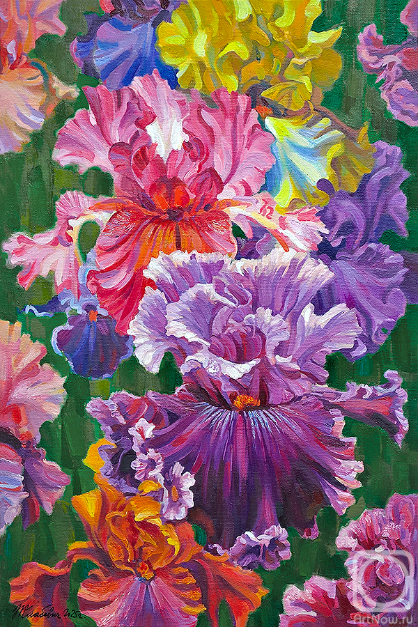 ������� ������ �� ������. �������� ��������. �����