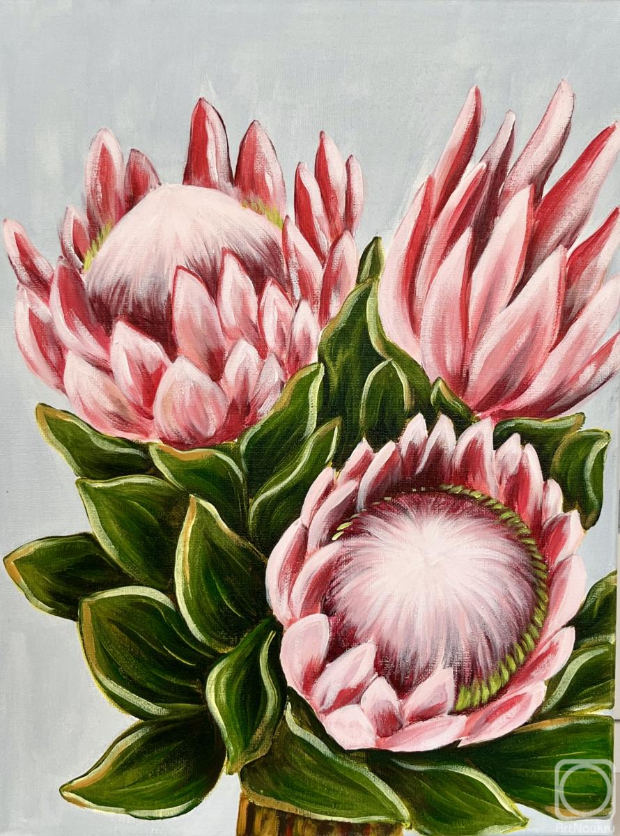 �������. �������� ���������. ������