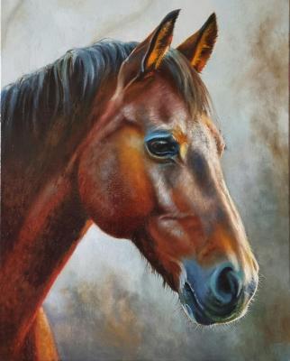 A beautiful stranger. Bessonova Anna