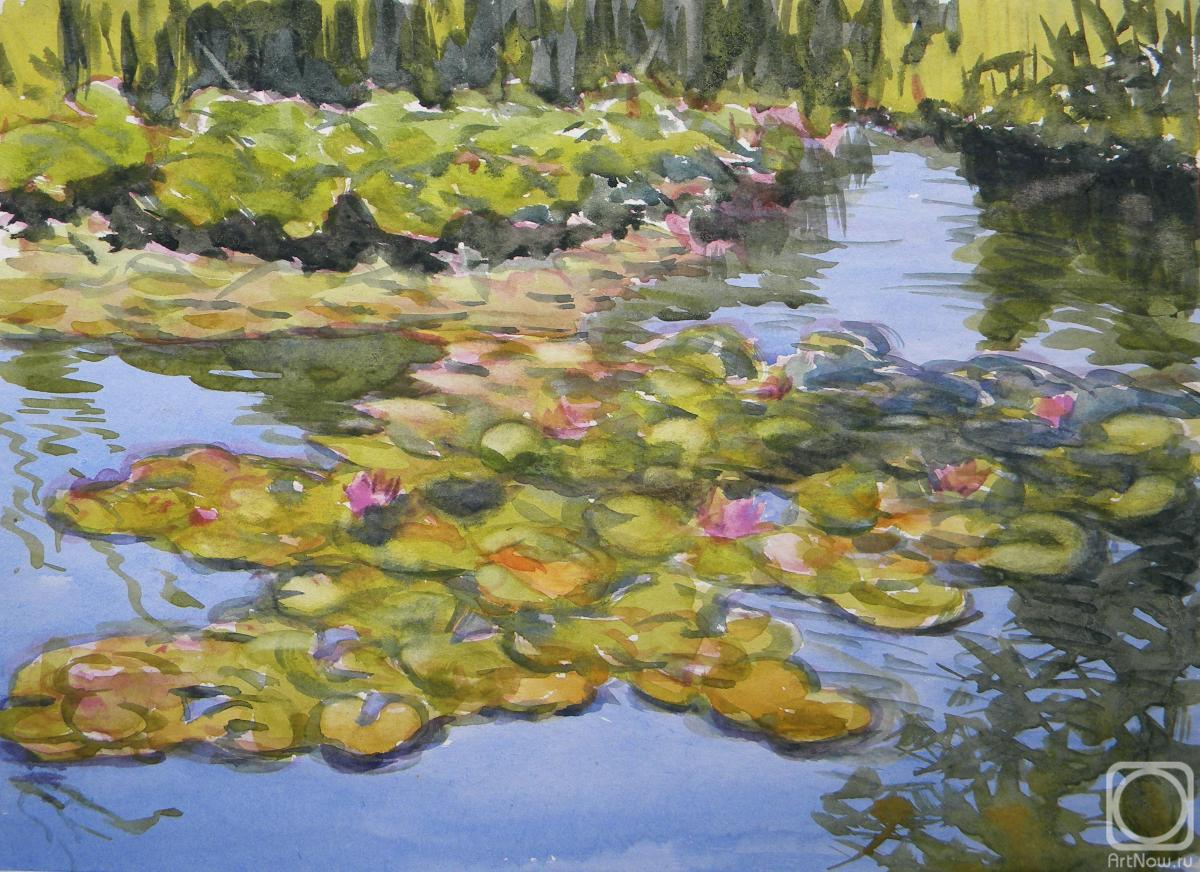 �������. ������ ������. ��������