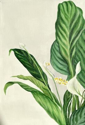 Untitled. Moiseeva Anastasiya