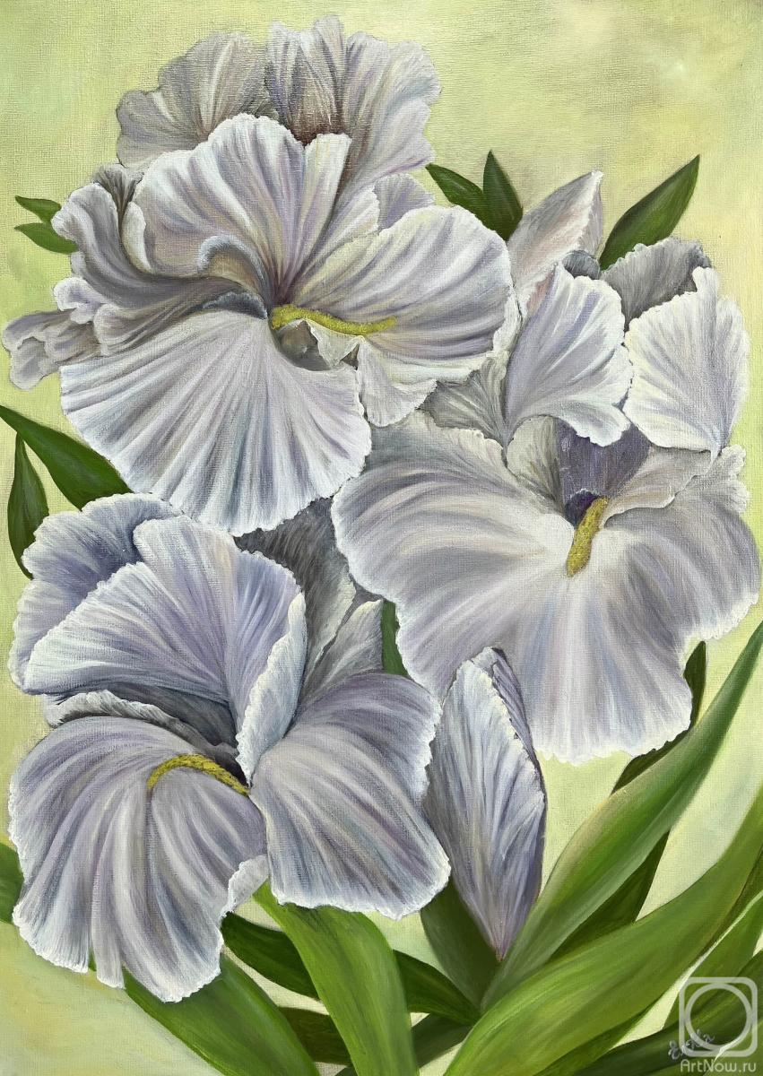 ������� ������ �� ������. ����������� �����. �����