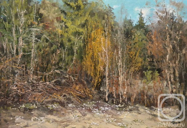 Shirobokova Taisiya. Untitled