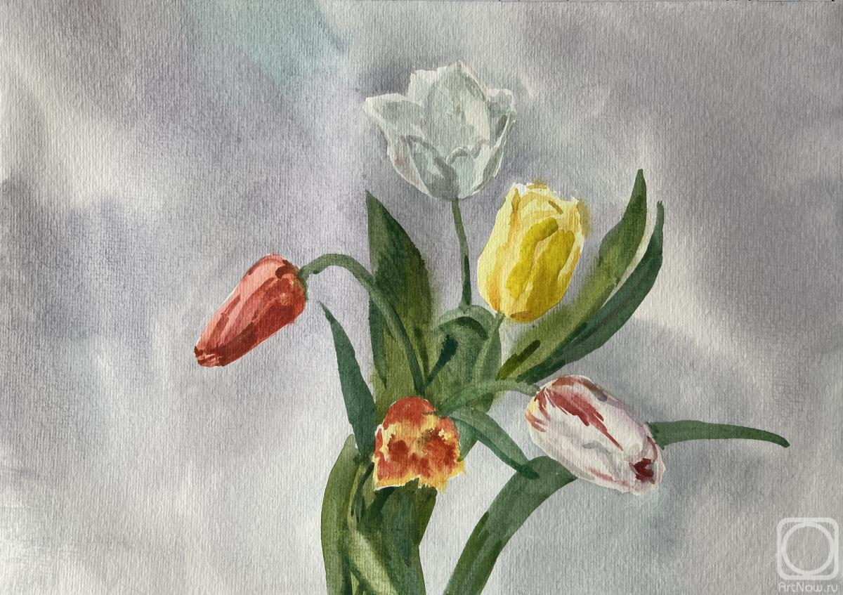 �������. ������� �������. ���� � ����������. ����