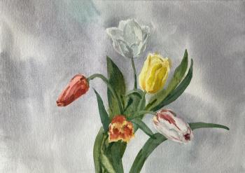 ���� � ����������. ����. ������� �������