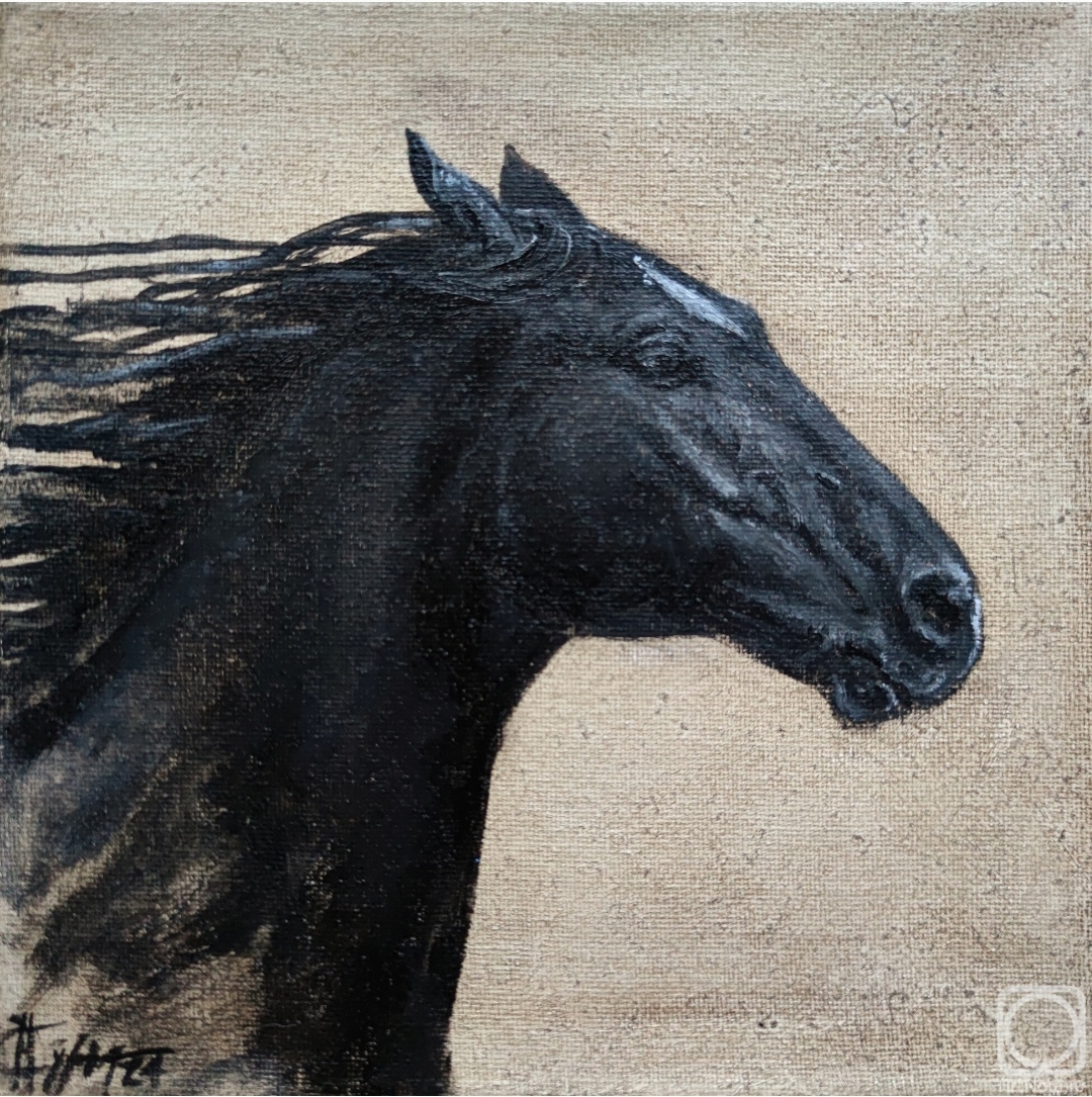 ������� ������ �� ������. ������ �������. ���������. ������� ����