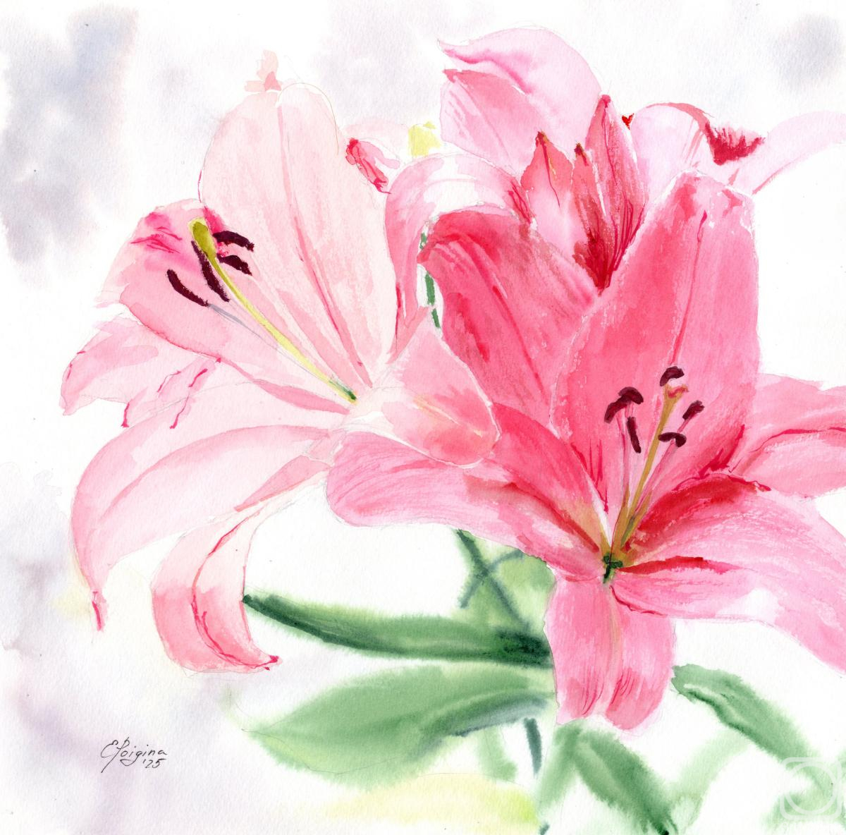 �������. ������� �����. �������� ��������. �����