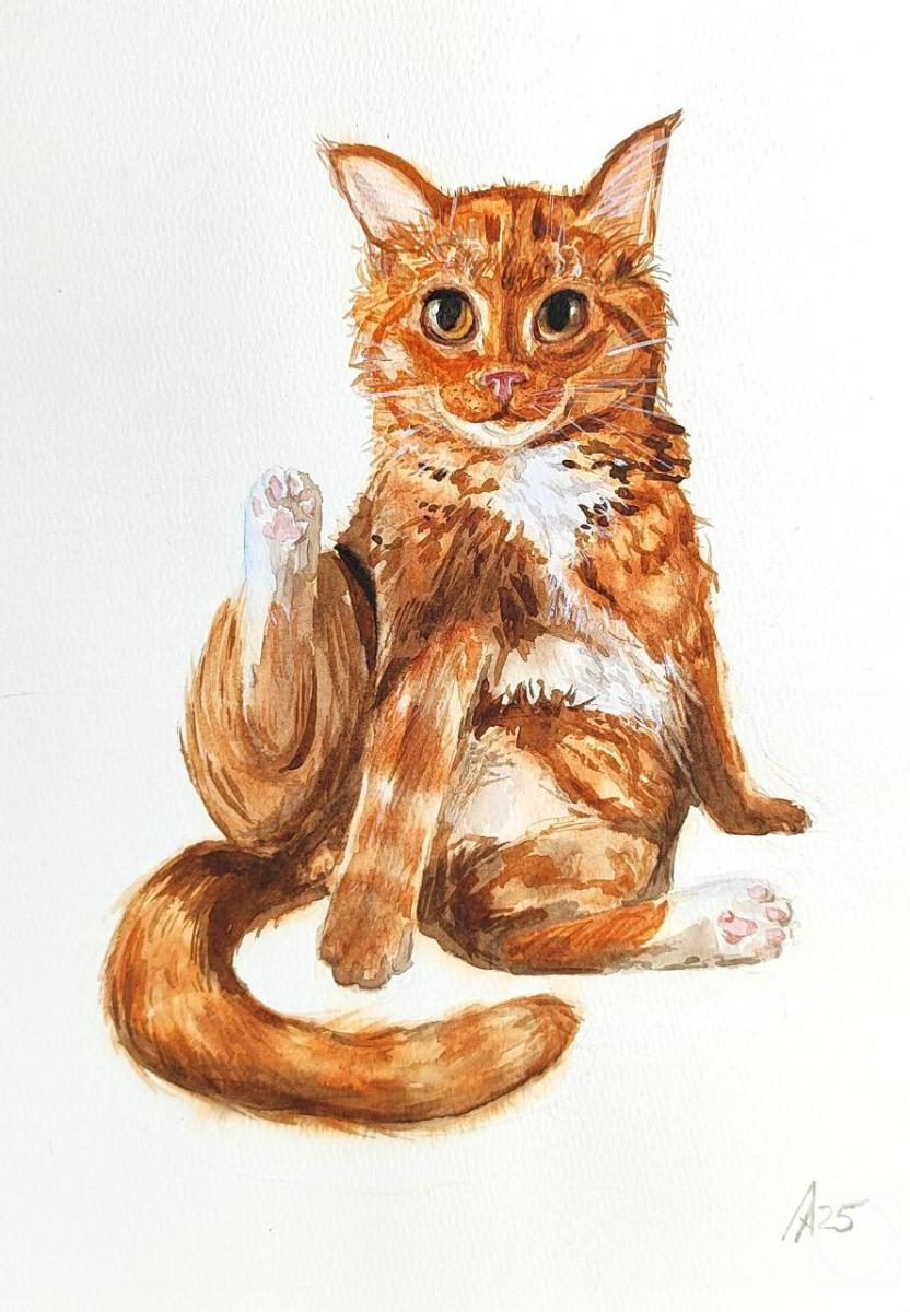 �������. ������ �������. ��������