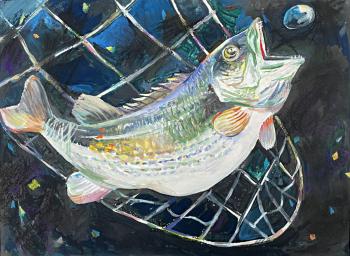 The big fish. Dashkina Saniya