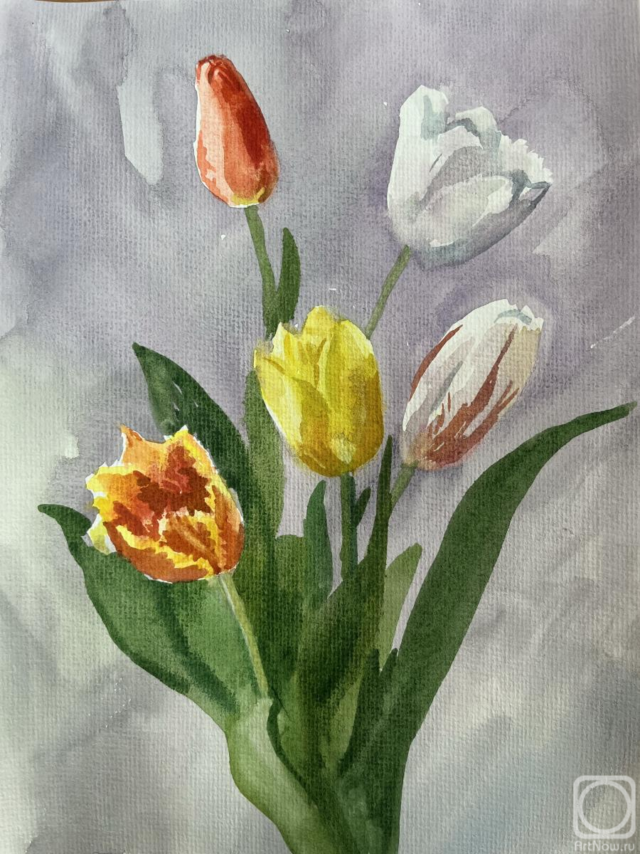 �������. ������� �������. ���� � ����������