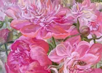 ������� �������� �����