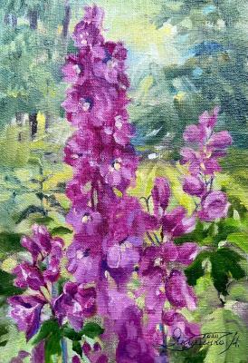 ������� ���������� ����