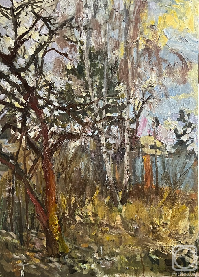 �������. �������� ������. �� ����. 19.01.2025. ��������