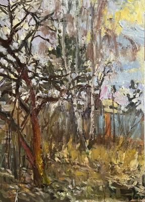 At the dacha. 01/19/2025. Baptism. Cheglyakov Andrey