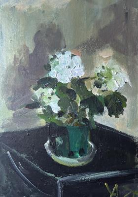 Hydrangeas. Cheglyakov Andrey