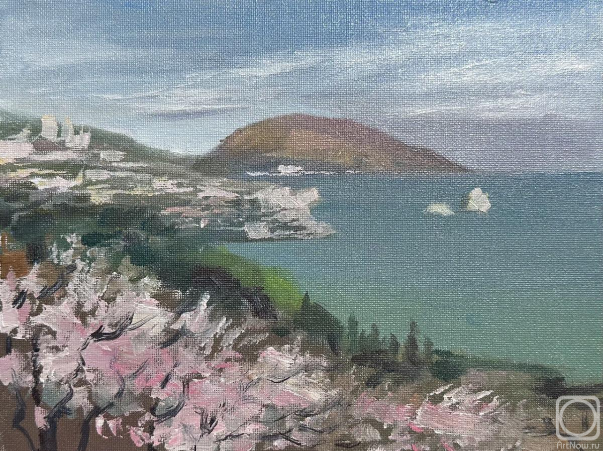 �������. �������� �����. �������� ������