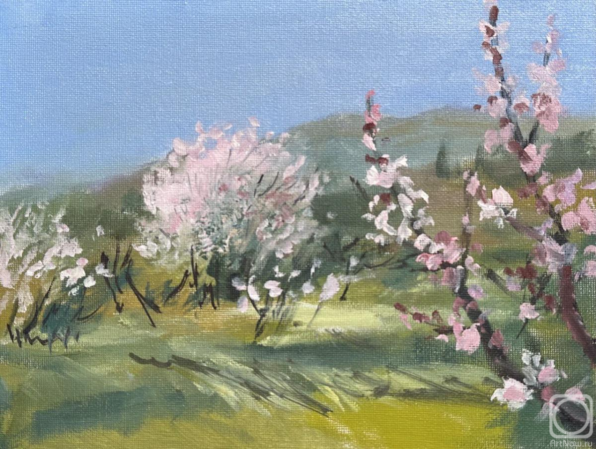 �������. �������� �����. �������� ����