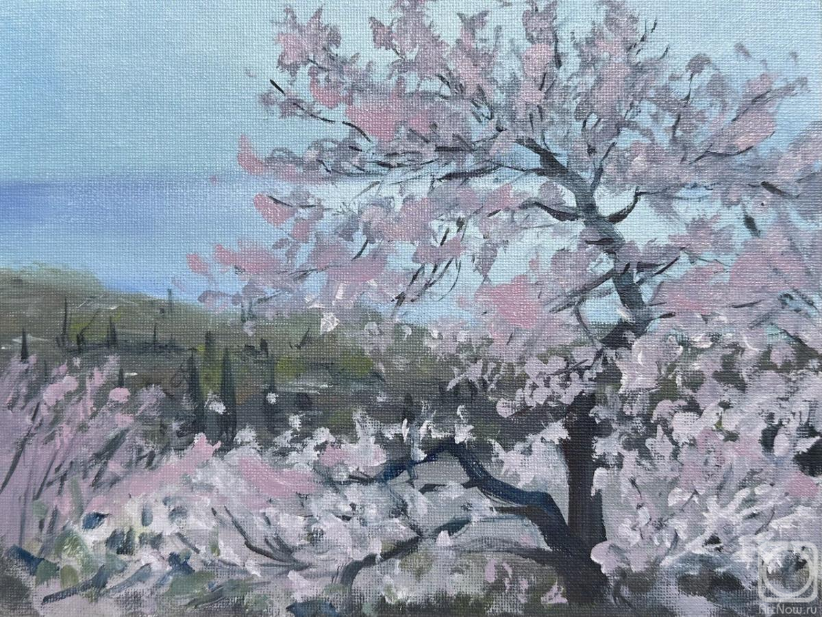 �������. �������� �����. �������� ����