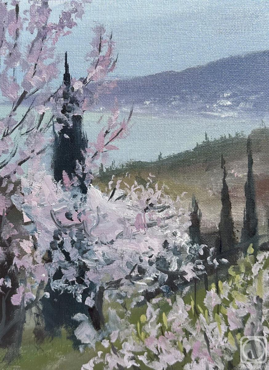 �������. �������� �����. �������� ����