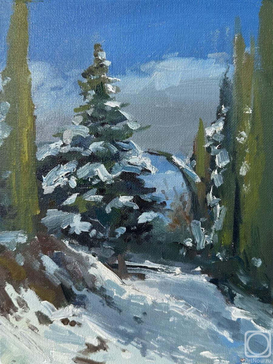 �������. �������� �����. ������� ����