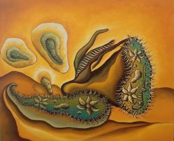 ������� ���� ��������� ��������