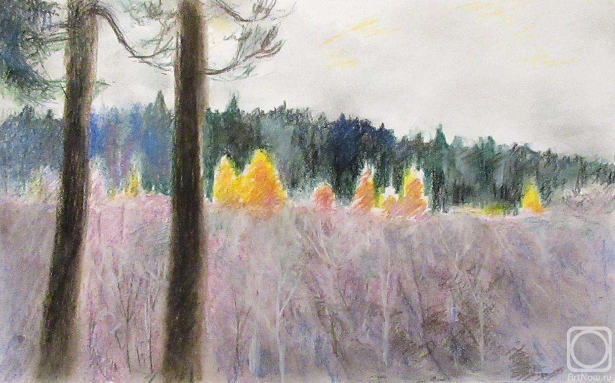 �������. �������� �������. ������� ������, �� ����� �������