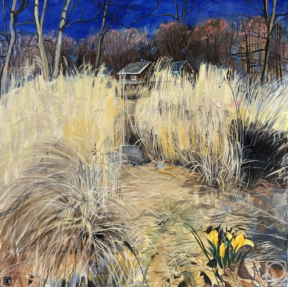 ������� ������ �� ������. ������� �����. �����