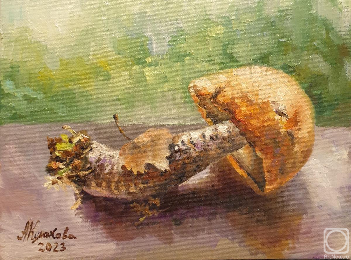 �������. �������� ����������. �� ����