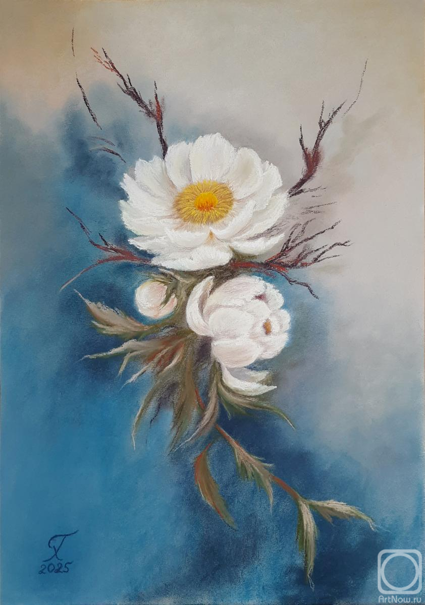 �������. ������� �������. ��������� �������� �1