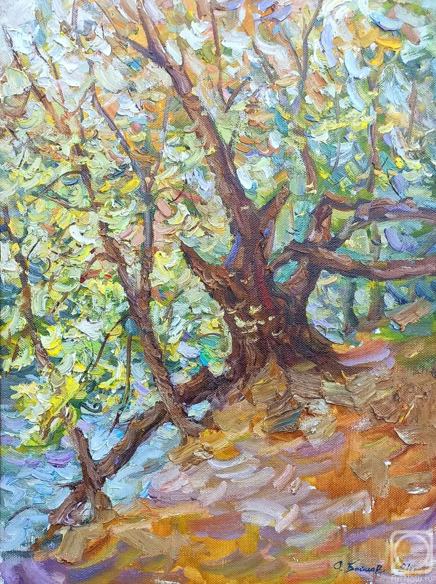 ������� ������ �� ������. ������ ����. �����