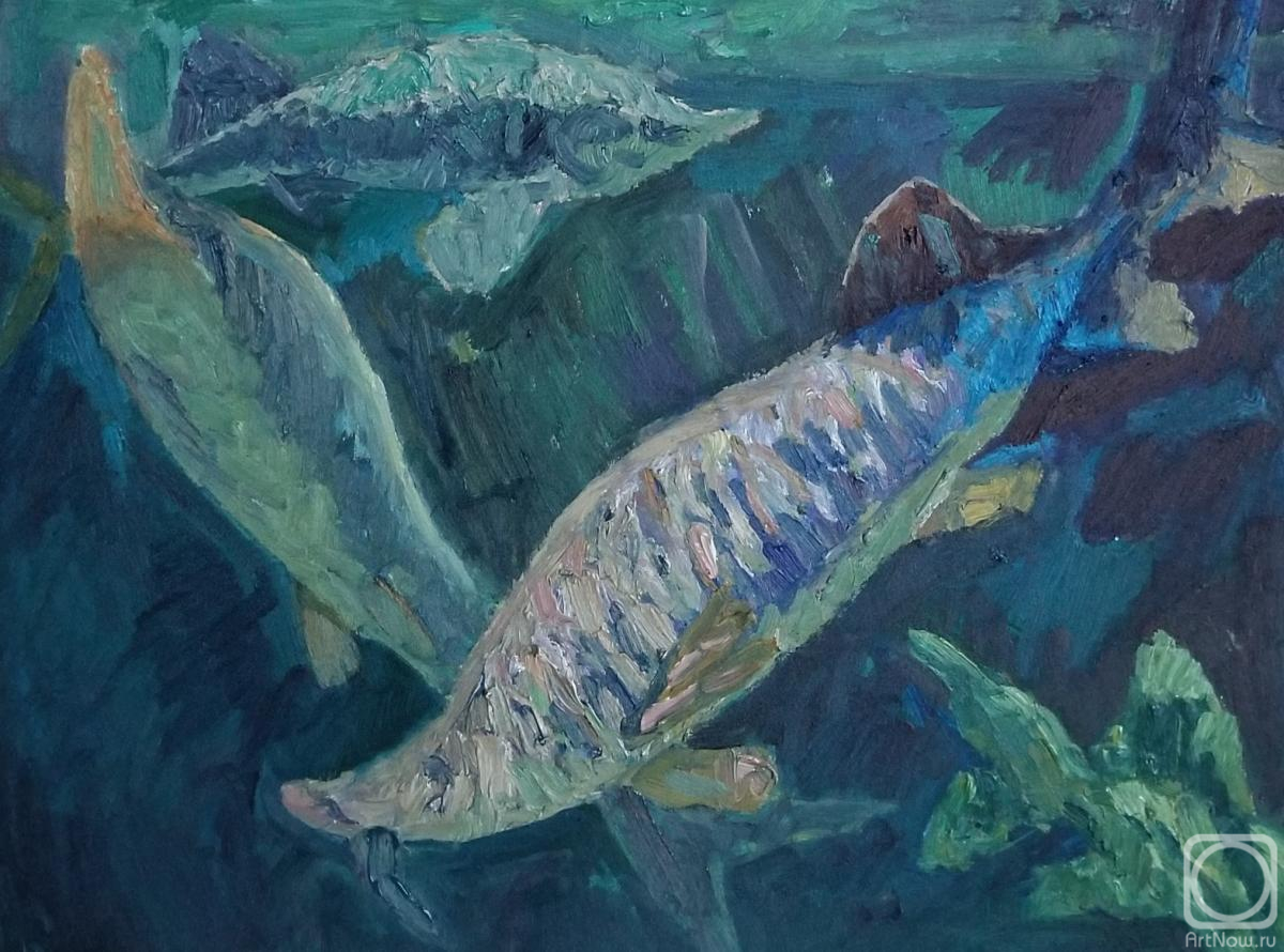 �������. �������� �������. ������ ������