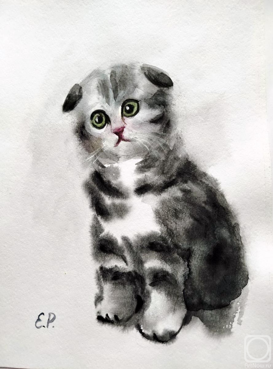 Ripa Elena. Untitled